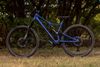 Specialized Stumpjumper CF Comp 