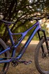Specialized Stumpjumper CF Comp 