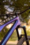 Specialized Stumpjumper CF Comp 