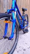 Specialized Hotrock 24" 