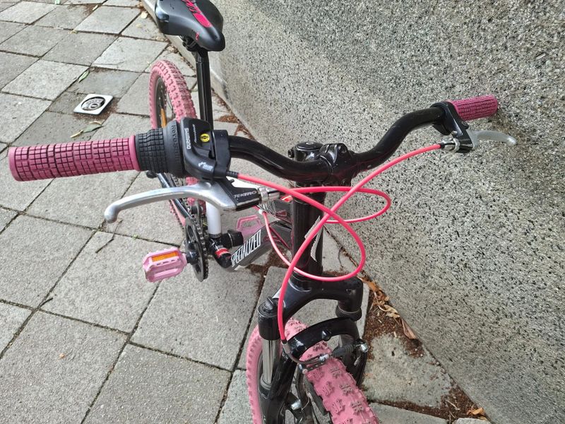 Specialized Hotrock 20