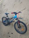 ✅ Dětské MTB Rock Machine Surge, 20", 1x7 ✅