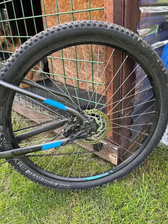 Kellys spider 70 