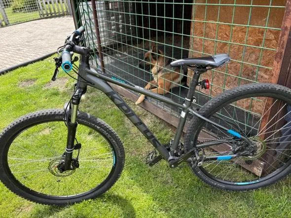 Kellys spider 70 