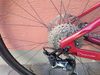 FOCUS Izalco Max 8.8
