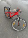 Scott Scale 24"