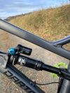 Dartmoor Blackbird 2023