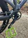 Dartmoor Blackbird 2023