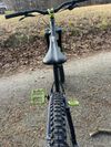 Dartmoor Blackbird 2023