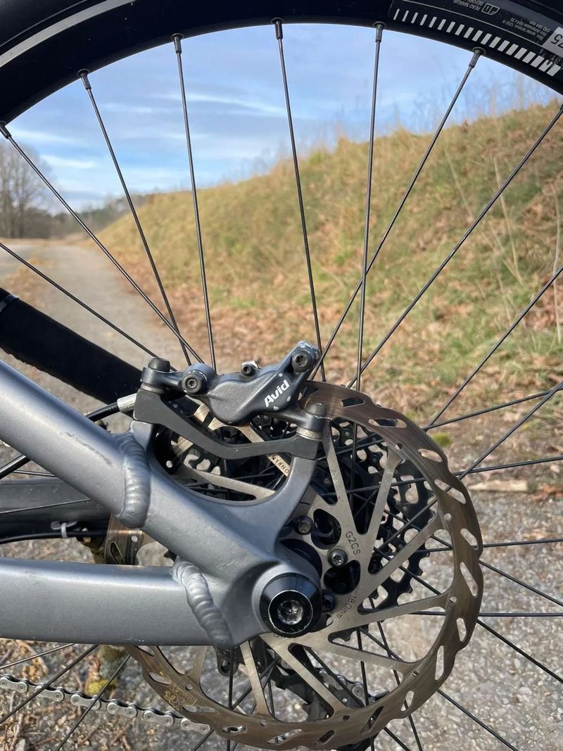 Dartmoor Blackbird 2023