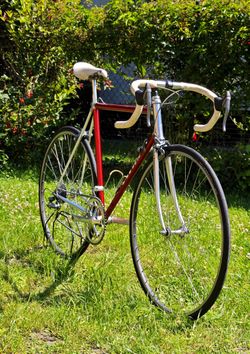 VITUS