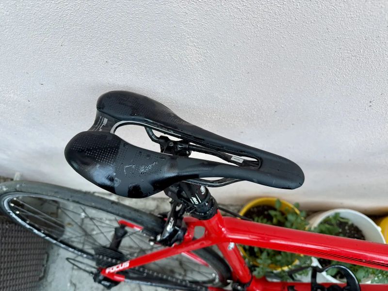 Focus Izalco Race 105