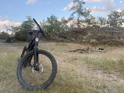 Harley Davidson 