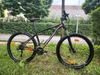 Kellys Spider 50 