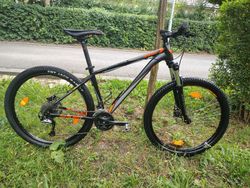 Kellys Spider 50 