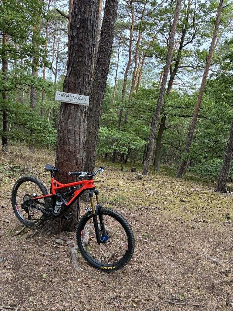 Cannondale Jekyll Carbon 3 