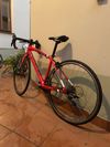 Specialized Allez Junior