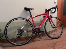 Specialized Allez Junior
