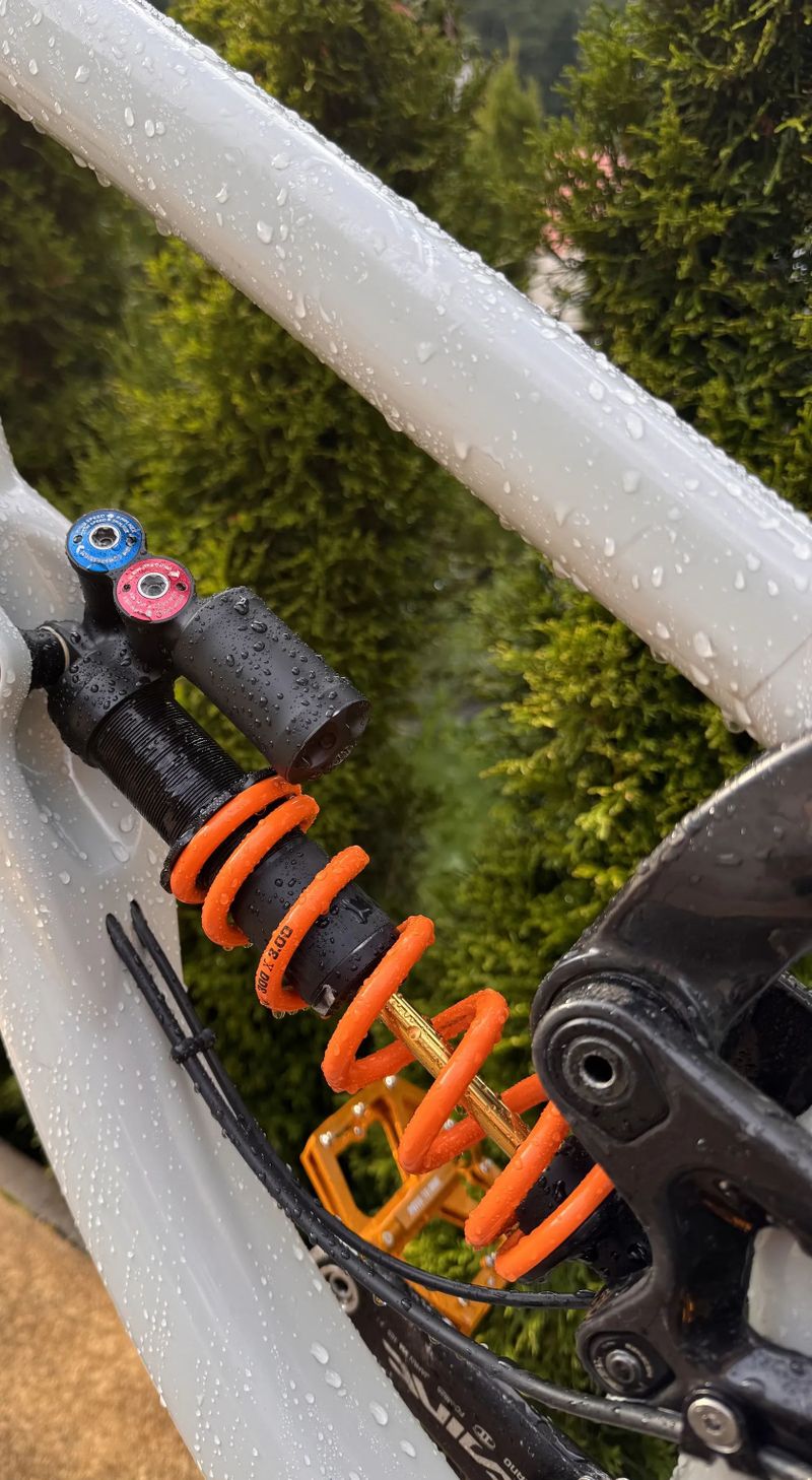 Saracen myst Carbon 