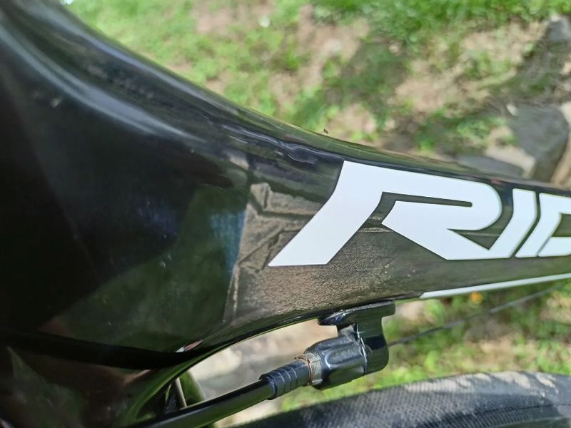 Ridley orion