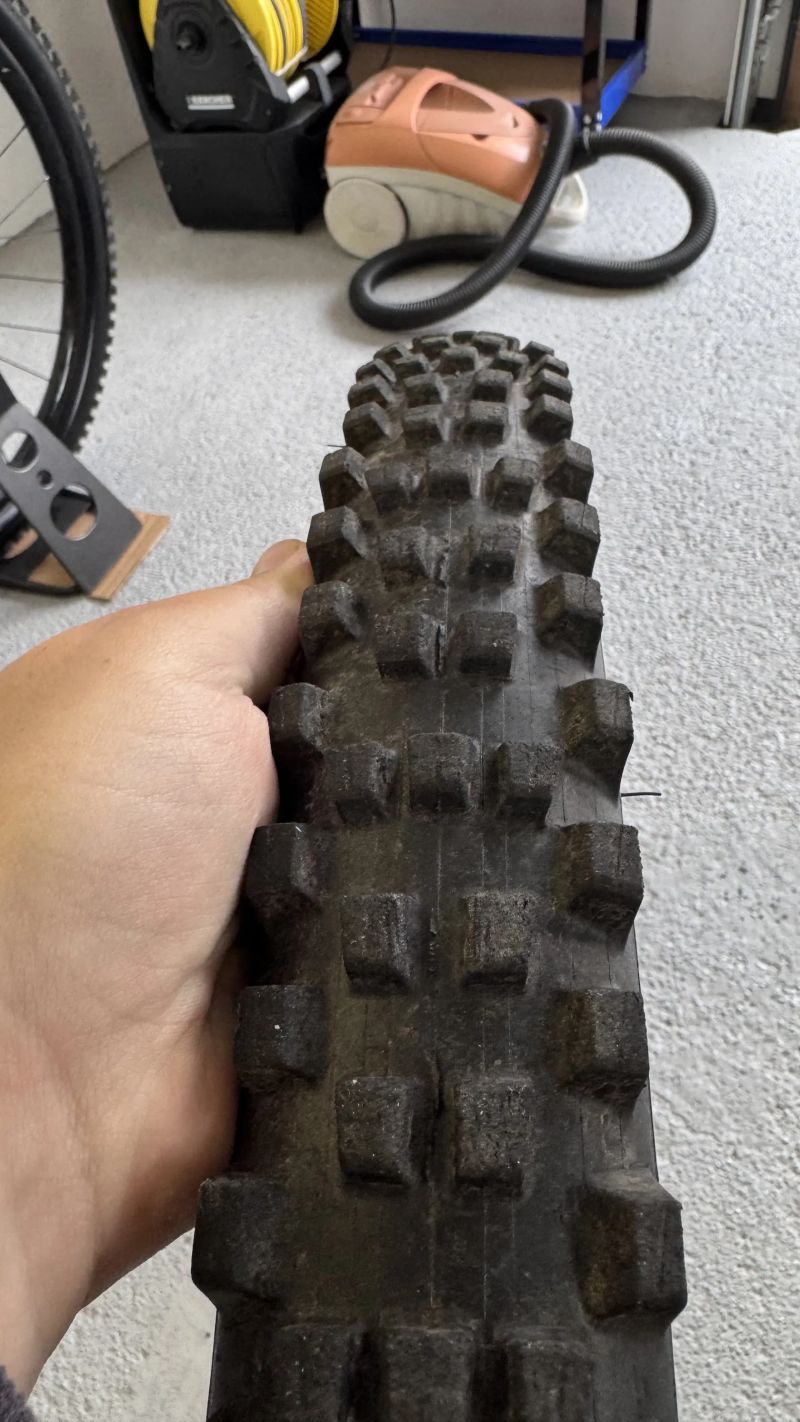 Mischelin DH22 + Wild Enduro front