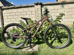 Specialized Stumpjumper Pro, Rusted, T-type XO, vel.S3