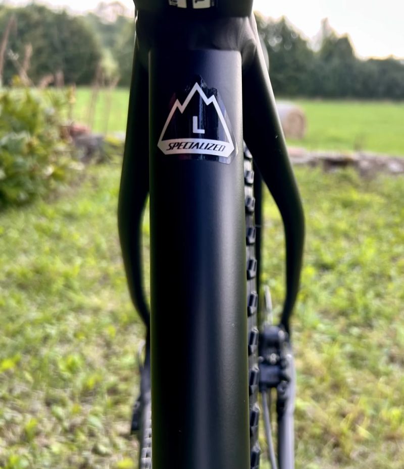 Specialized Turbo Levo HT 29” L