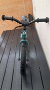Lionelo Bart air green