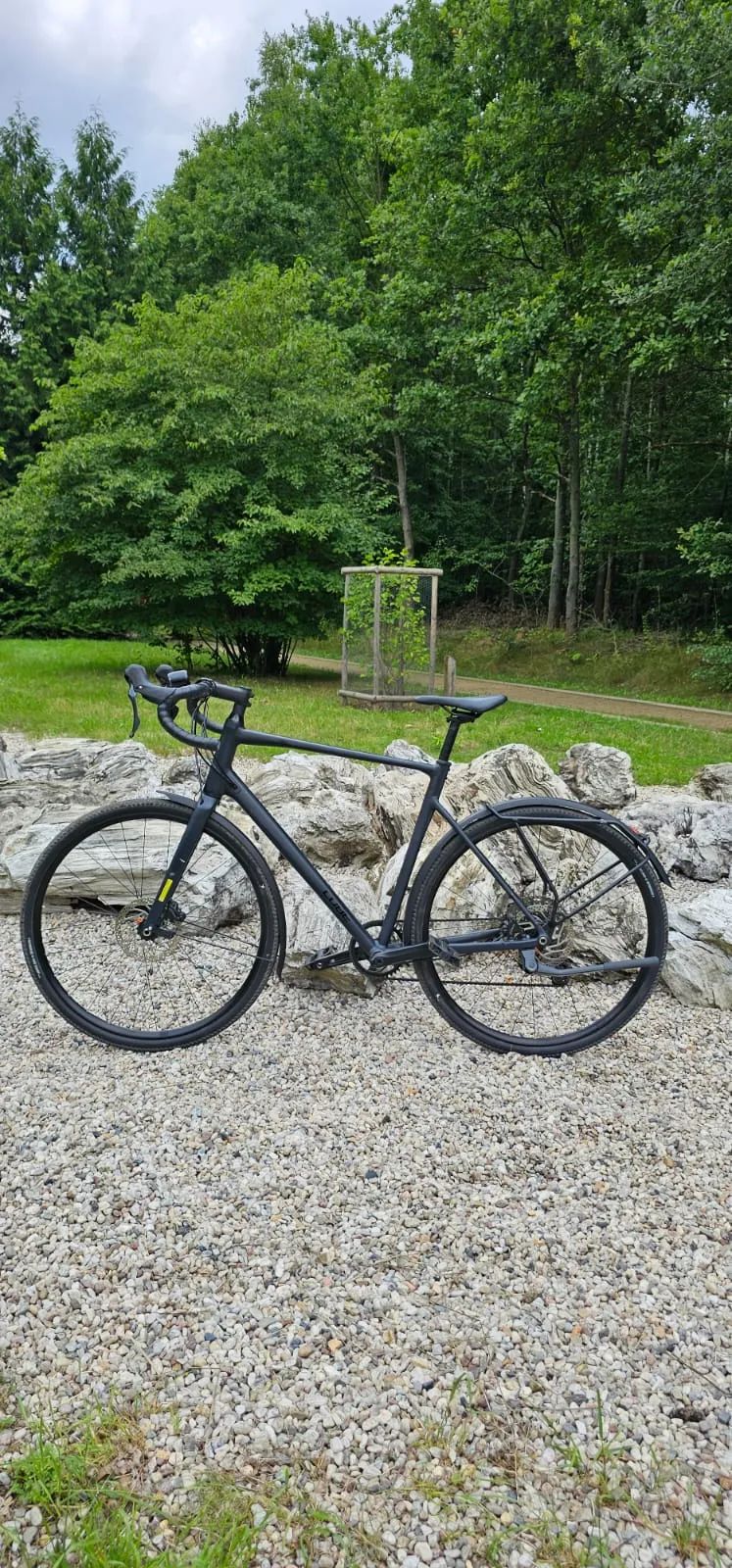 Cube Nuroad FE 2025 XL