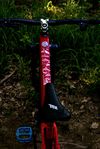 Giant Reign SX
