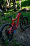 Giant Reign SX