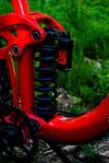 Giant Reign SX