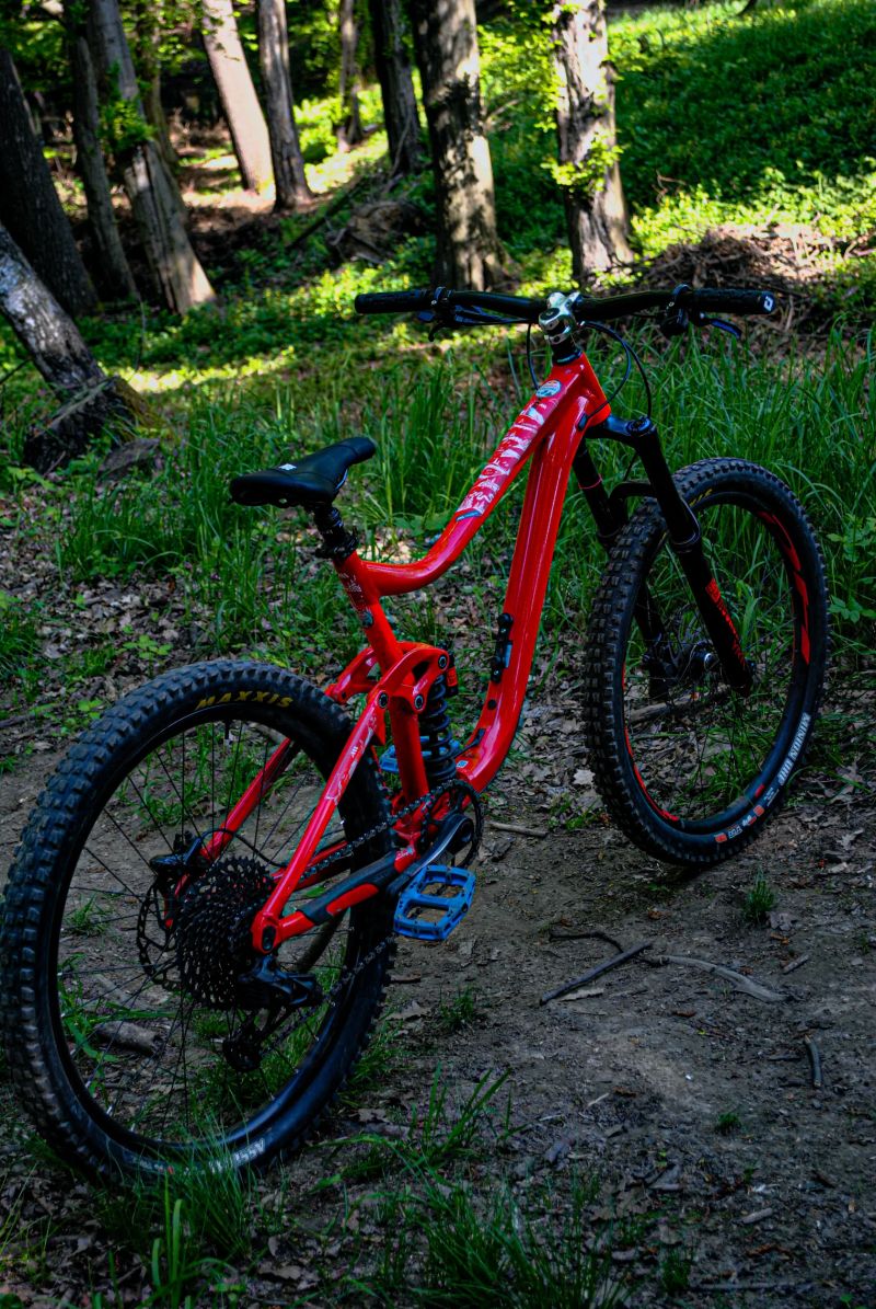 Giant Reign SX