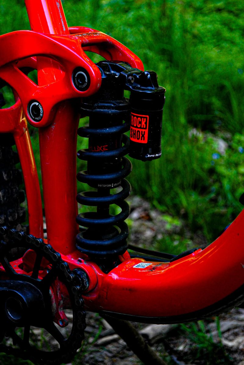 Giant Reign SX