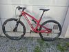 Rocky Mountain Instict 950