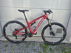 Rocky Mountain Instict 950