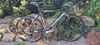 Rock Machine raceride.500 vel.56cm