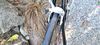 Rock Machine raceride.500 vel.56cm