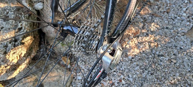 Rock Machine raceride.500 vel.56cm