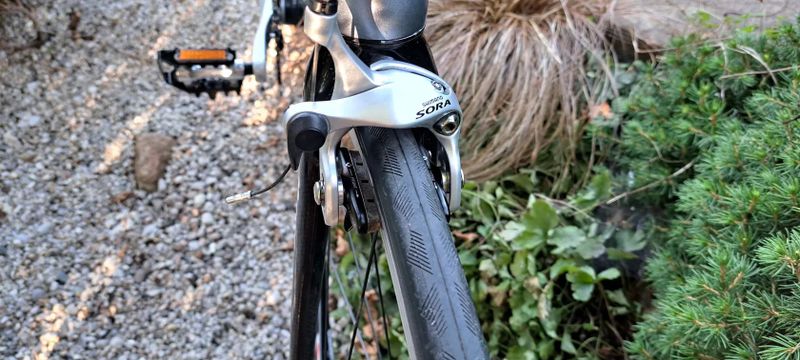 Rock Machine raceride.500 vel.56cm