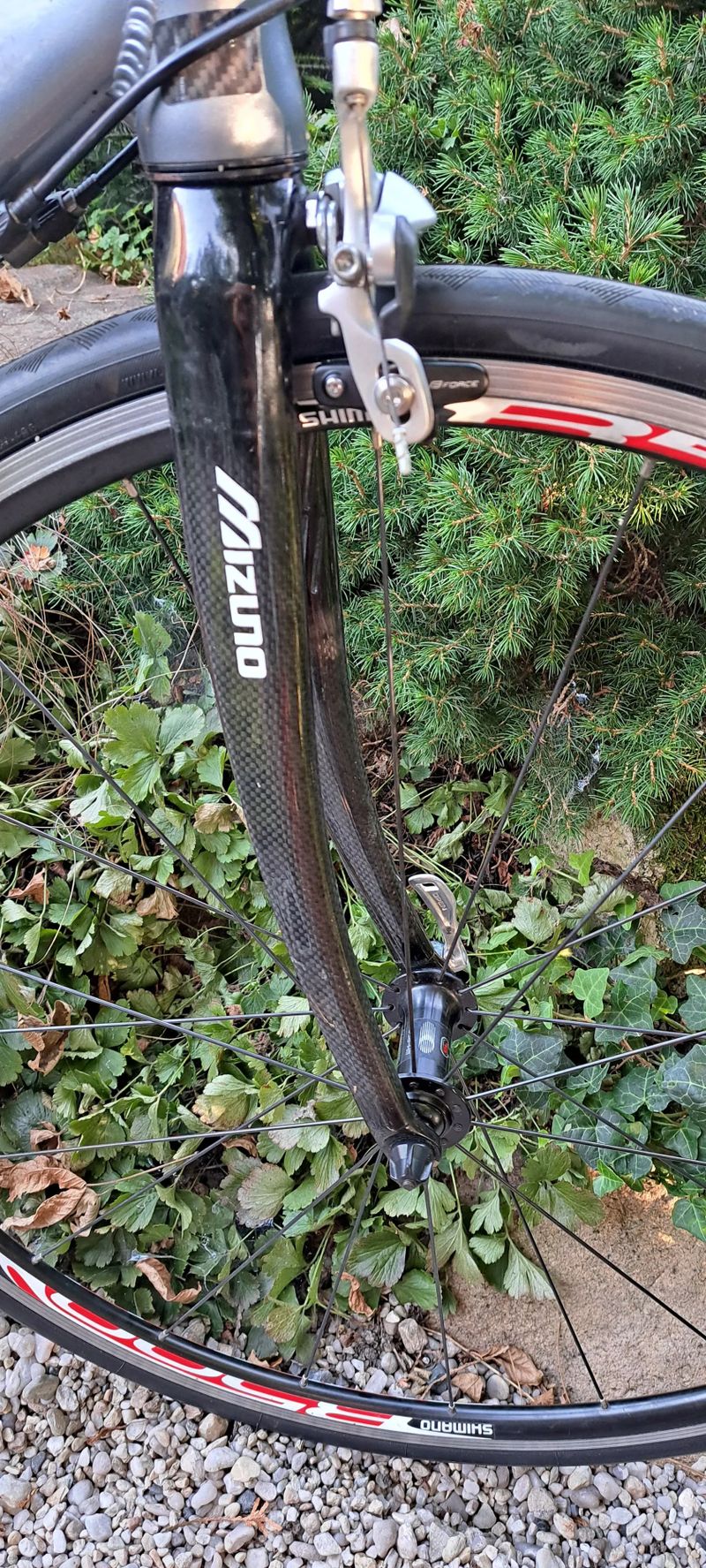 Rock Machine raceride.500 vel.56cm