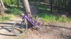CTM dirtking expert 2025