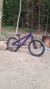 CTM dirtking expert 2025
