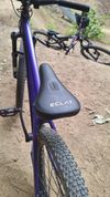 CTM dirtking expert 2025