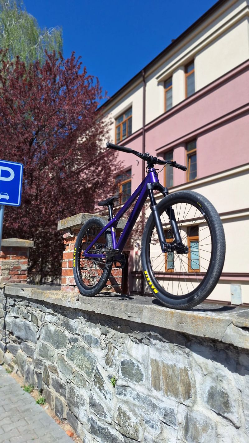 CTM dirtking expert 2025