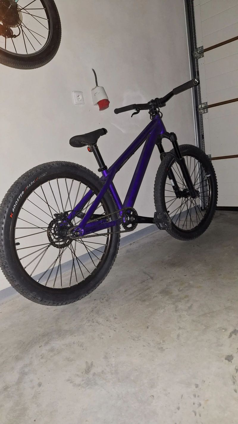CTM dirtking expert 2025