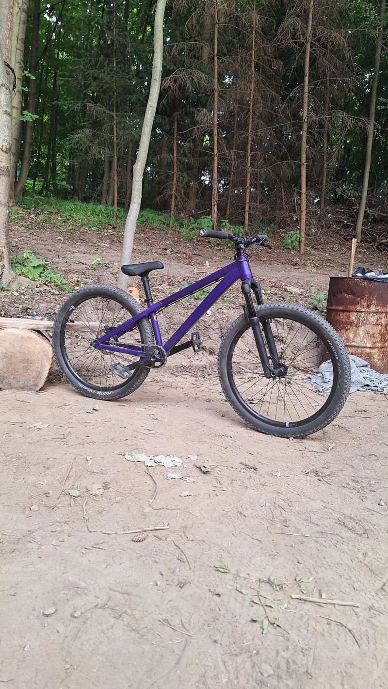 CTM dirtking expert 2025