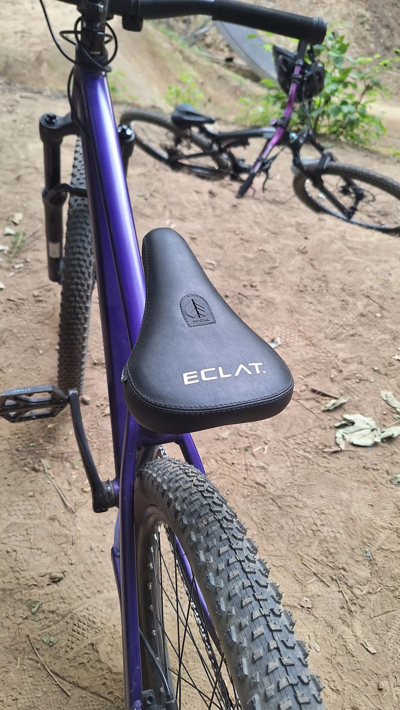 CTM dirtking expert 2025