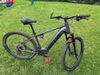 Kellys Tayen R90M 
