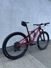 Specialized Epic Expert